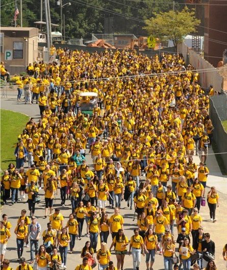 The sea of yellow that is the most reported memory of the first Lion Pride day.