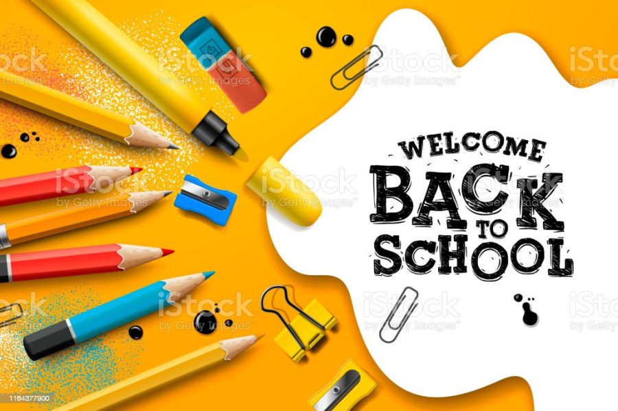 Back to school Sale design with pencils and typography lettering. Vector School illustration for poster, web, cover, ad, greeting, card, social media, promotion.