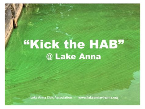 Courtesy of Lake Anna Civic Association. Green colored water in mid Pamunkey Creek, taken from a homeowners dock. Featuring name of LACA program. 