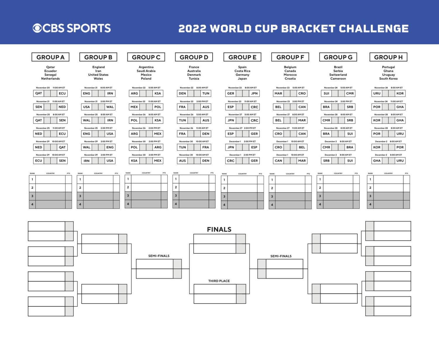 FIFA World Cup Qatar 2022 Updates – The Lion's Roar