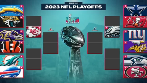 NFL Playoffs (continuing coverage)