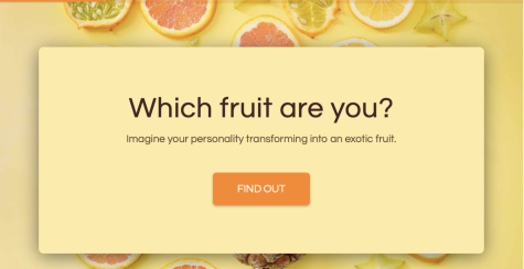 What type of fruit are you?