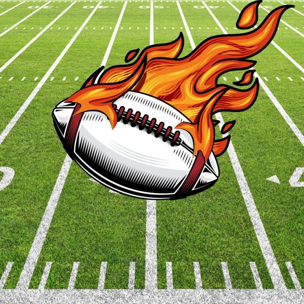 The NFL season is on fire and everyones excited about the upcoming year.