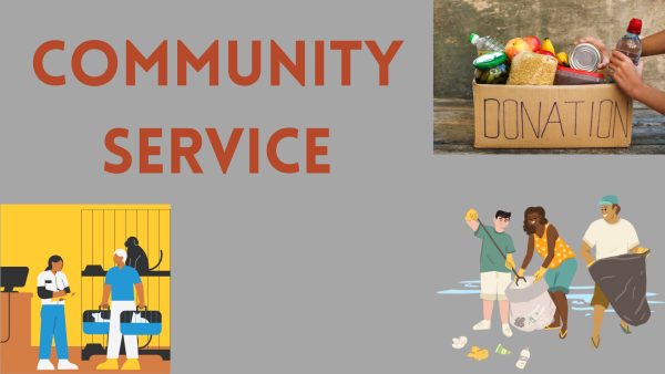 A presentation created on Canva to showcase different ways people can get involved with community service.