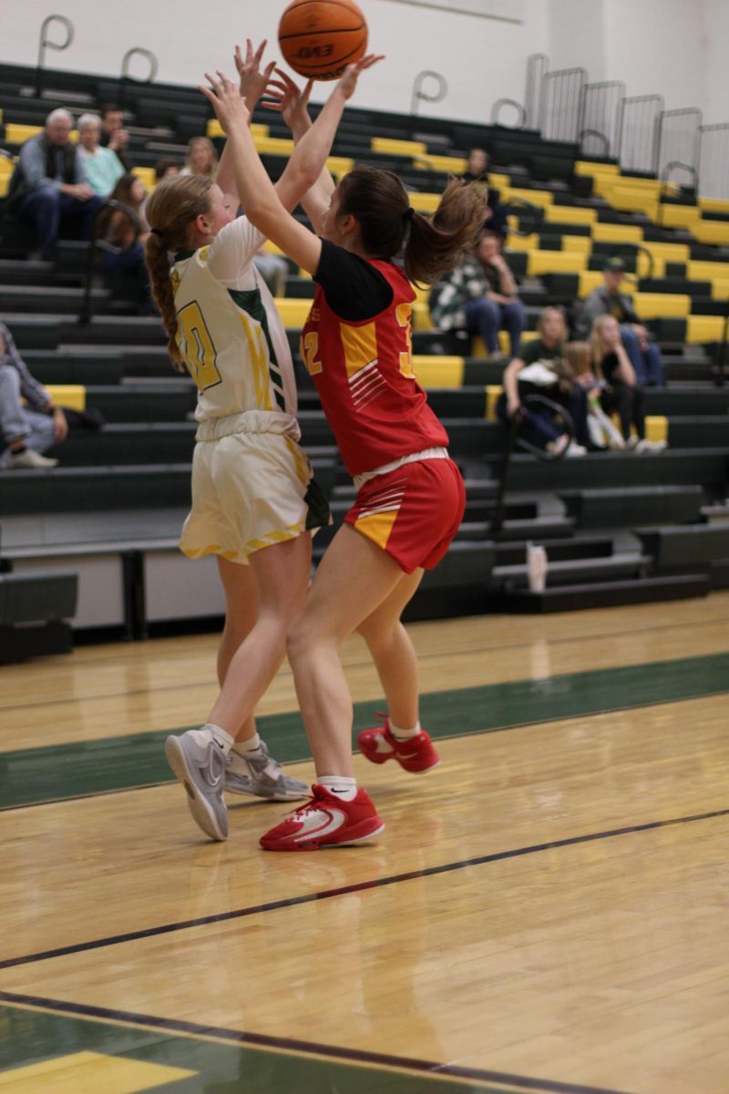 Point Guard, Katelyn Cheely, fights to grab the ball for her team. 