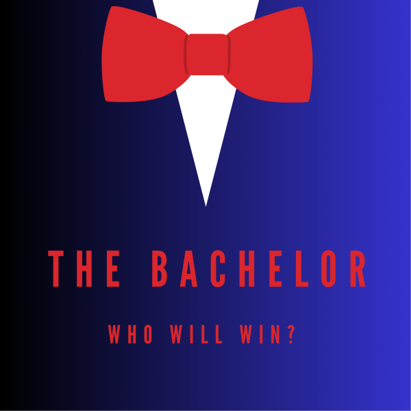 Who will win The Bachelor? 