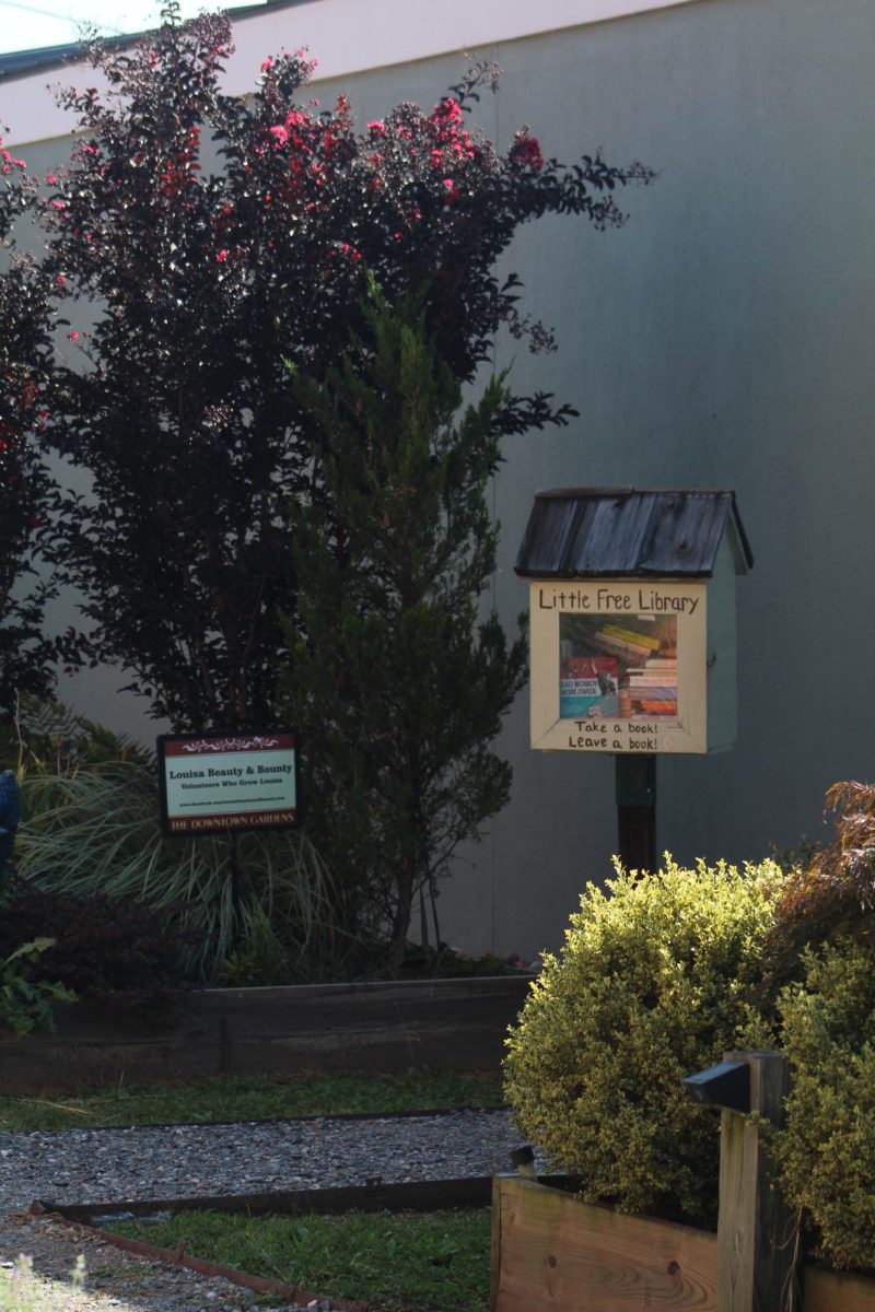 A free library and downtown garden are placed in a small ally in Louisa.