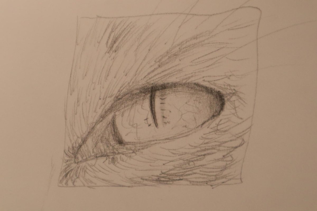 A practice sketch of a detailed eye. Made by Aurora Kekel.