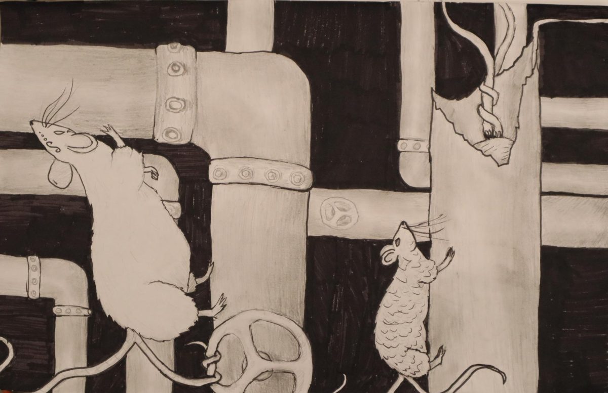 A pencil and ink drawing of rats in pipes. Made by Aurora  Kekel.