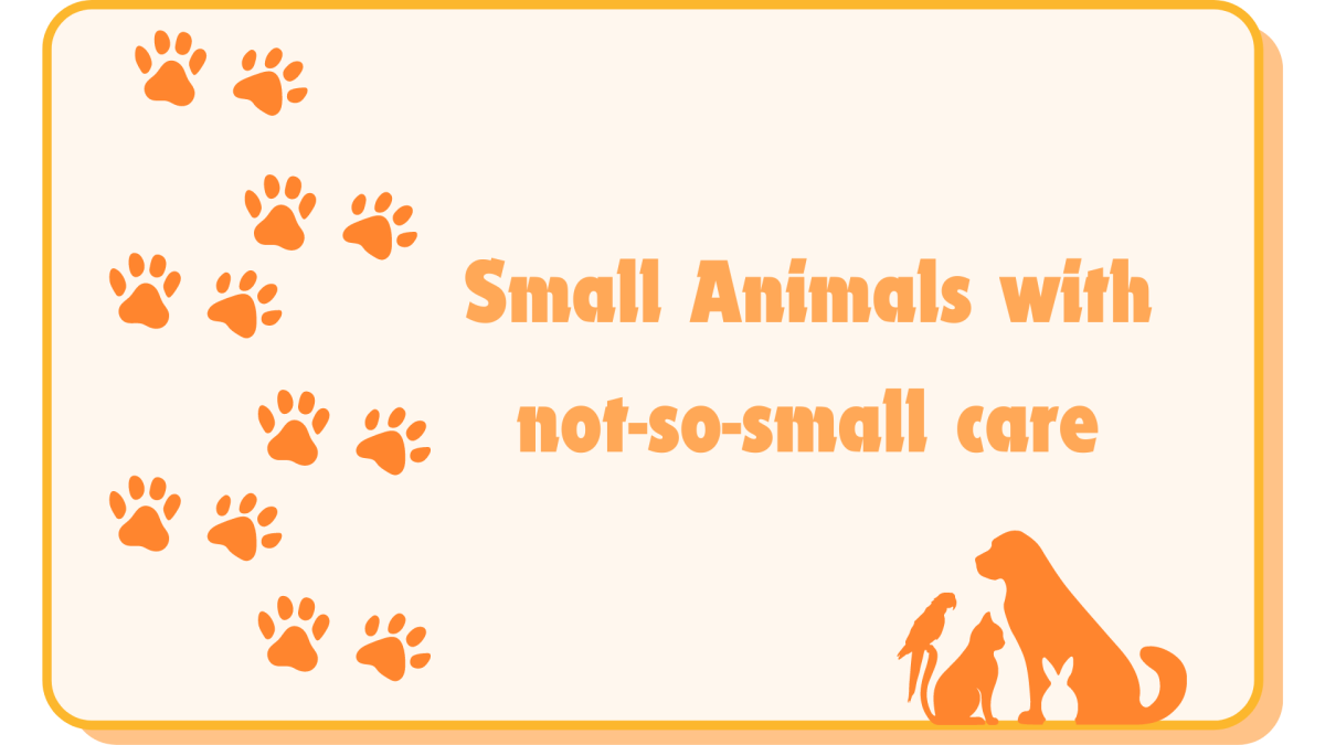 A graphic was created to represent the small animal care class and what it teaches.