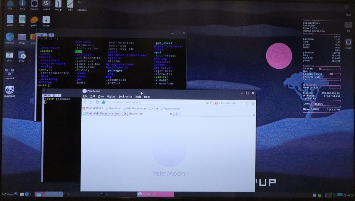 A Fossapup system with terminal, Pale Moon, and system diagnostics displayed. 