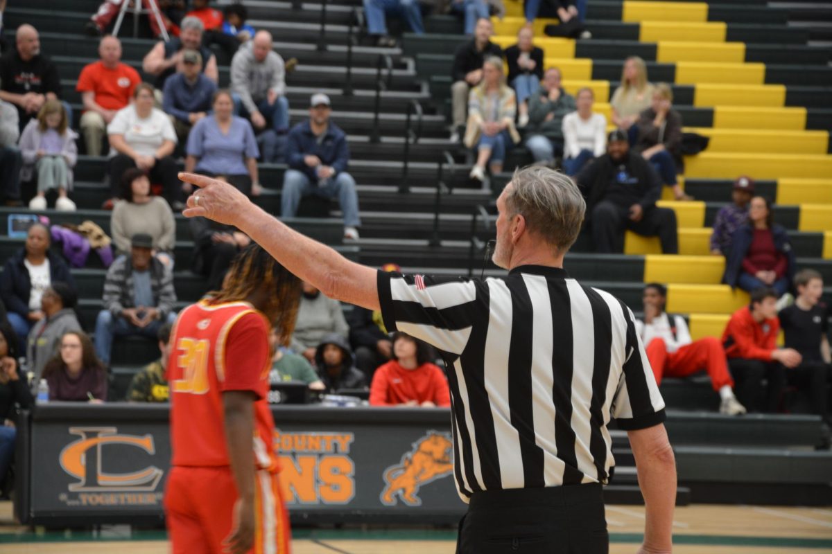 The referee makes a call in favor of the Lions after the ball is played out of bounds.