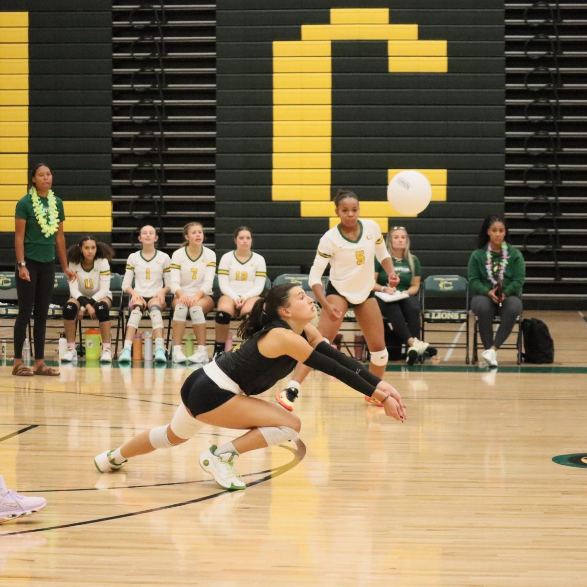 Moreno dives for the ball in order to get the point against Eastern View.