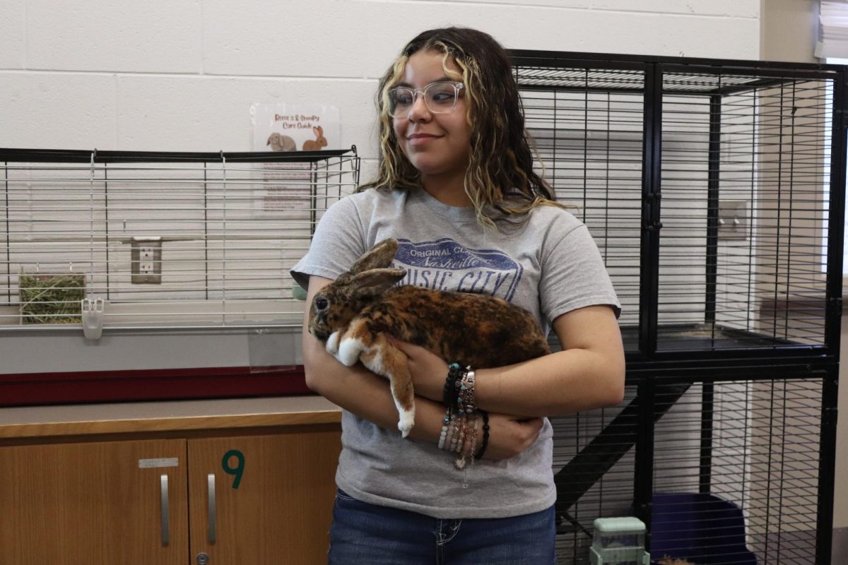 Reeses the bunny, held by sophomore Aireanna Nester.