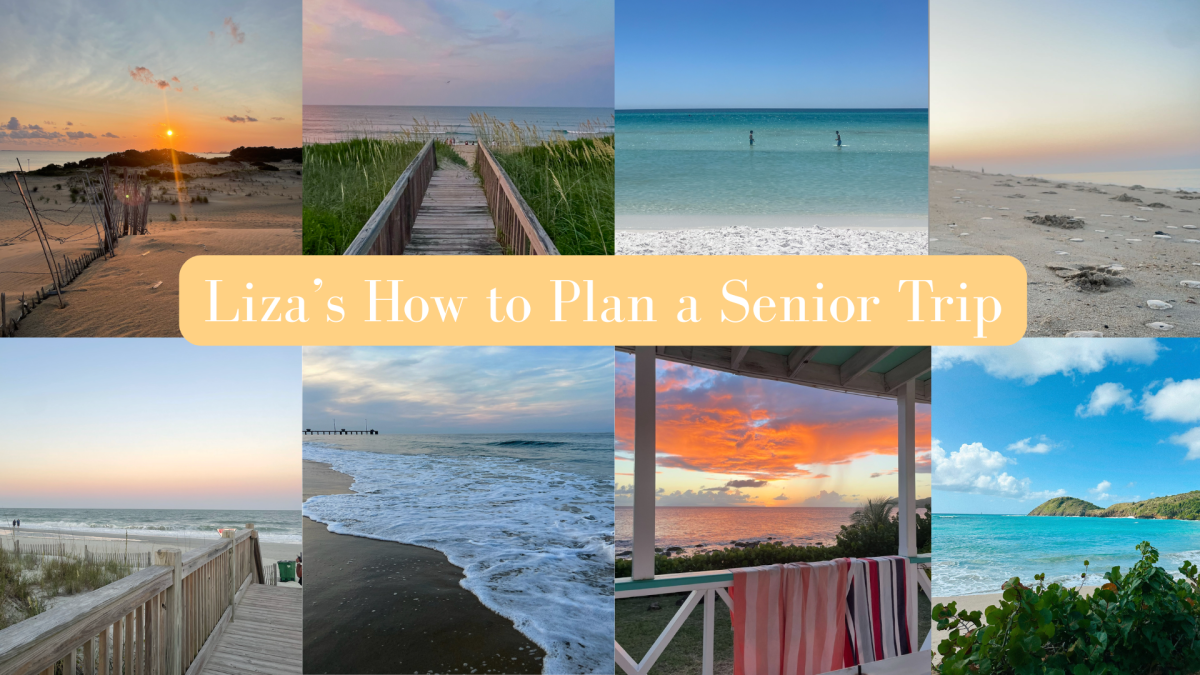 A variety of beach photos that catch the eyes of seniors planning their senior trips.