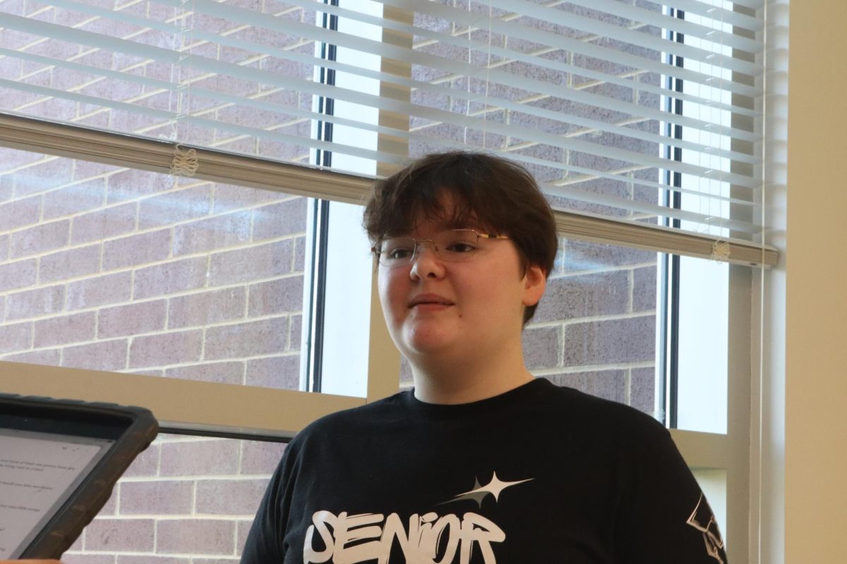 Senior Elizabeth Palmer wishes for a more fleshed out take on the daily play.