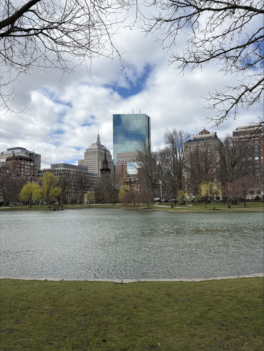 During a spring break visit to coastal Massachusetts, I was immersed in the rich, intellectual atmosphere of Boston, a city that truly serves as the historic, cultural heart of the North. In the center of the city is Boston Public Garden, where urban green infrastructure thrives.

